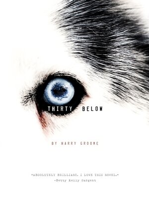 cover image of Thirty Below